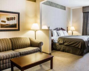 Comfort Suites McAlester - McAlester - 9