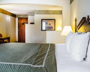 Comfort Suites McAlester - McAlester - 8