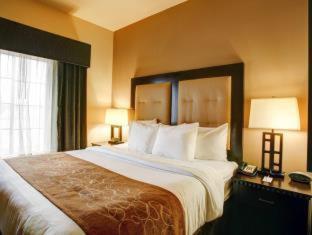 Comfort Suites Buda - Austin South - 7