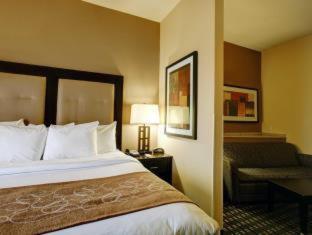 Comfort Suites Buda - Austin South - 5