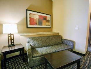 Comfort Suites Buda - Austin South - 3