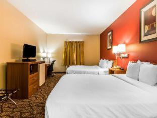 Quality Inn & Suites Chesterfield Village - Springfield - 6