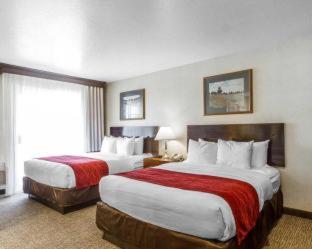 Comfort Suites Red Bluff near I-5 - Red Bluff - 4