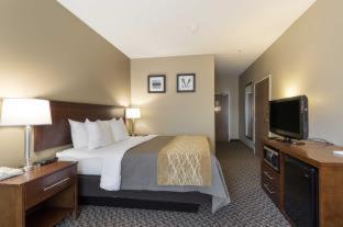 Comfort Inn Auburn - Seattle - 2