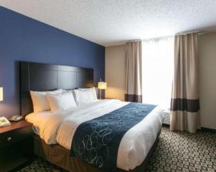 Comfort Suites Benton Harbor - St Joseph - Benton Harbor - 6