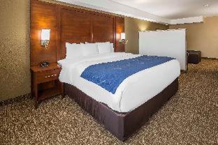 Comfort Suites El Paso Airport - El Paso - 4