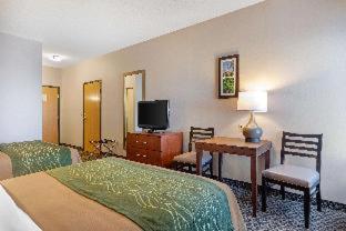 Comfort Inn Charlotte - Charlotte - 5