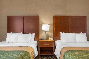 Comfort Inn Charlotte - 4