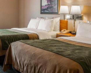 Comfort Inn Charlotte - Charlotte - 1