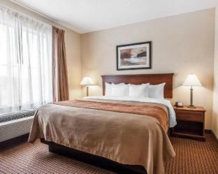Comfort Inn & Suites Atoka-Millington - Atoka - 5