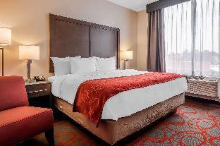 Comfort Inn & Suites near Stadium - 6