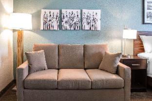 Sleep Inn & Suites Fort Dodge - Fort Dodge - 9