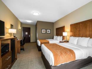 Comfort Inn & Suites Sayre - Sayre - 3