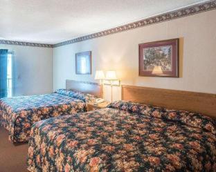 Rodeway Inn & Suites Rehoboth Beach - 9