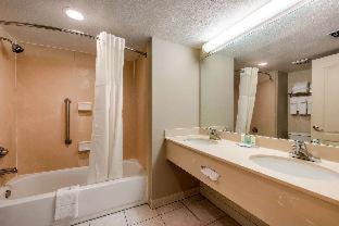 Quality Inn & Suites Tarpon Springs South - Tarpon Springs - 1