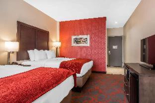 Comfort Inn & Suites near Stadium - Bronx - 3