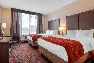 Comfort Inn & Suites near Stadium - Bronx - 2
