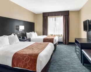 Comfort Suites Odessa near University - Odessa - 9