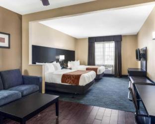 Comfort Suites Odessa near University - Odessa - 4