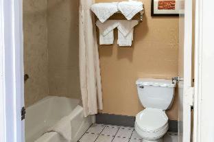 Comfort Inn North Conroe - Conroe - 8