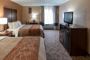 Comfort Inn North Conroe - Conroe - 4
