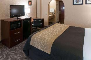 Comfort Inn North Conroe - Conroe - 1