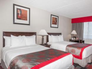 Albany Plaza Hotel - 7