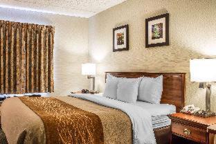 Comfort Inn & Suites Wilkes Barre - Arena - Wilkes-Barre - 6