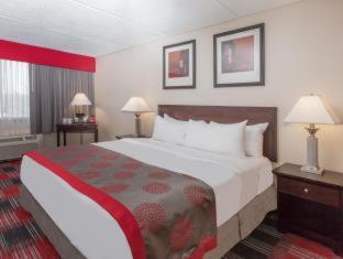 Albany Plaza Hotel - 4