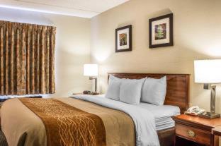Comfort Inn & Suites Wilkes Barre - Arena - 3