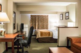Comfort Inn & Suites Wilkes Barre - Arena - Wilkes-Barre - 2