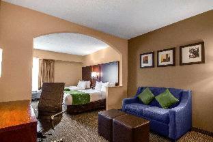 Comfort Suites at Woodbridge - Avenel - 2