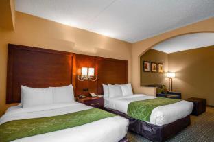Comfort Suites at Woodbridge - 1