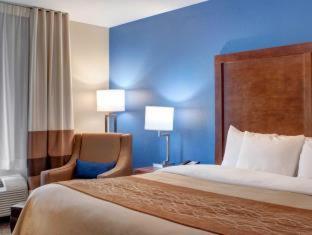 Comfort Inn & Suites - 4