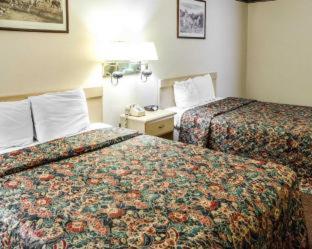Baymont by Wyndham Pine Grove I-81 - Pine Grove - 4