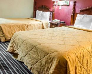 Baymont by Wyndham Pine Grove I-81 - Pine Grove - 1