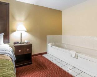 Quality Inn & Suites - Rosemount - 5
