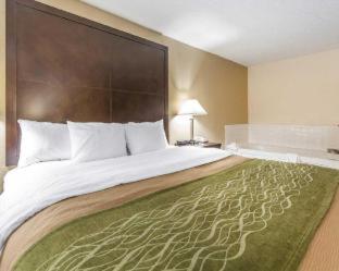 Quality Inn & Suites - Rosemount - 3