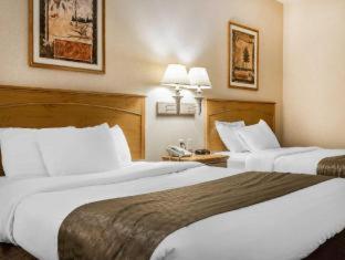 Rodeway Inn & Suites Tomahawk - Tomahawk - 5