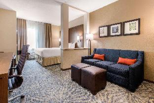 Comfort Suites - South Austin - 4