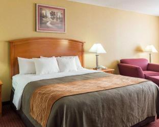 Comfort Inn & Suites Chesapeake - Portsmouth - 1