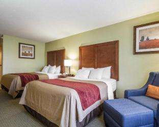 Comfort Inn & Suites Black River Falls I-94 - Black River Falls - 3