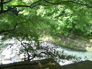 Ichinoyu Honkan - Hakone - 6