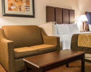 Comfort Inn & Suites - 9