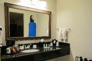 Quality Inn & Suites Kissimmee by The Lake - Orlando - 8