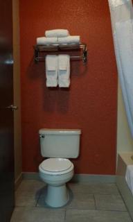 Baymont by Wyndham O'Fallon St. Louis Area - O'Fallon - 6