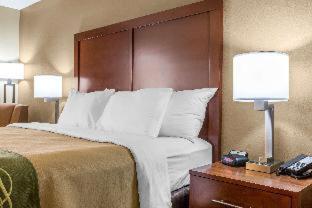 Comfort Inn Collinsville near St Louis - Collinsville - 9