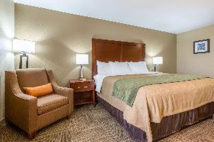 Comfort Inn Collinsville near St Louis - Collinsville - 8