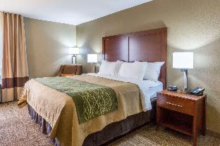 Comfort Inn Collinsville near St Louis - Collinsville - 6