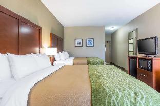 Comfort Inn Collinsville near St Louis - Collinsville - 3